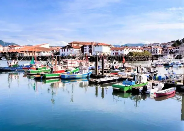 Moderne En Centre-ville Avec Balcon Et Parking A 400m De La - Fr-1-4-693 アパート サン＝ジャン＝ド＝リュズ